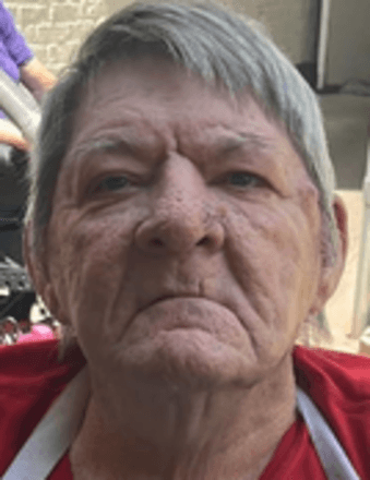 Dennis L. Gilbert Obituary